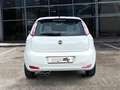 Fiat Punto 3p 1.2 BENZ 69 CV Lounge E6 ADATTA NEOPATENTATI Wit - thumbnail 7