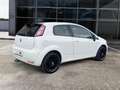 Fiat Punto 3p 1.2 BENZ 69 CV Lounge E6 ADATTA NEOPATENTATI Wit - thumbnail 6