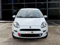 Fiat Punto 3p 1.2 BENZ 69 CV Lounge E6 ADATTA NEOPATENTATI Wit - thumbnail 2
