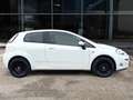 Fiat Punto 3p 1.2 BENZ 69 CV Lounge E6 ADATTA NEOPATENTATI Wit - thumbnail 4