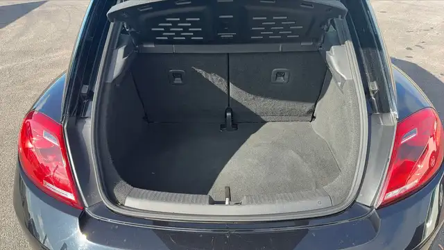 Volkswagen Beetle view 14