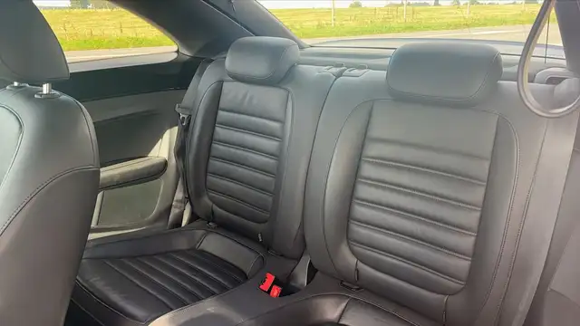 Volkswagen Beetle view 9