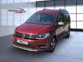 Volkswagen Caddy Beach Camping Bett Zelt Bluetooth Navi Klima Rot - thumbnail 2
