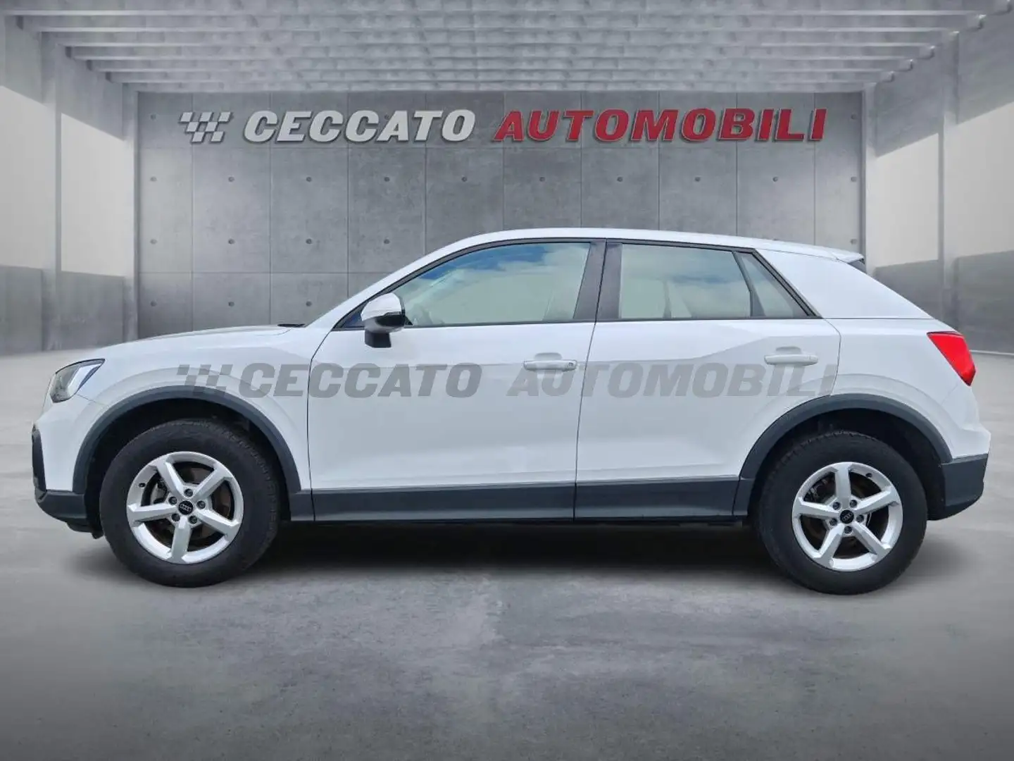 Audi Q2 Q2 30 2.0 tdi Business s-tronic Bianco - 2