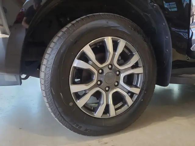 Ford Ranger view 18