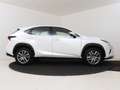 Lexus NX 300h AWD Sport Edition | Lederen Bekleding | Safety Sys Blanc - thumbnail 14