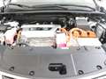 Lexus NX 300h AWD Sport Edition | Lederen Bekleding | Safety Sys Blanc - thumbnail 7