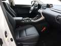 Lexus NX 300h AWD Sport Edition | Lederen Bekleding | Safety Sys Blanc - thumbnail 39