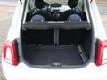 Fiat 500 Panorama Klima Tempomat Blanc - thumbnail 6