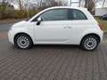 Fiat 500 Panorama Klima Tempomat Blanc - thumbnail 4