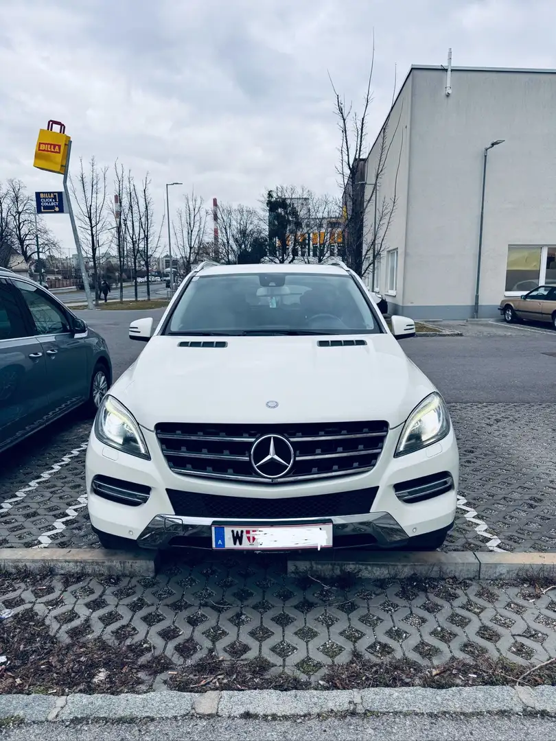 Mercedes-Benz ML 250 BlueTEC 4MATIC 7G-TRONIC Edition 1 - 1