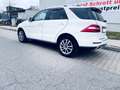 Mercedes-Benz ML 250 BlueTEC 4MATIC 7G-TRONIC Edition 1 - thumbnail 4