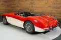 Austin-Healey 100 100/6 Cabriolet | 1958 Rot - thumbnail 16