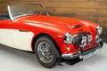 Austin-Healey 100 100/6 Cabriolet | 1958 Rot - thumbnail 18