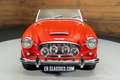 Austin-Healey 100 100/6 Cabriolet | 1958 Rot - thumbnail 17