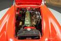 Austin-Healey 100 100/6 Cabriolet | 1958 Rot - thumbnail 5