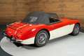 Austin-Healey 100 100/6 Cabriolet | 1958 Rot - thumbnail 12