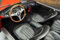 Austin-Healey 100 100/6 Cabriolet | 1958 Rot - thumbnail 10