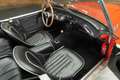 Austin-Healey 100 100/6 Cabriolet | 1958 Rot - thumbnail 9