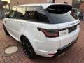 Land Rover Range Rover Sport Range Rover SDV6 Sport HSE Dynamic FACELIFT+PANO Wit - thumbnail 6