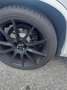 Volkswagen Tiguan 2,0 TDI BMT 4Motion Sky DPF R-line Blanco - thumbnail 8