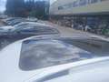 Volkswagen Tiguan 2,0 TDI BMT 4Motion Sky DPF R-line Blanco - thumbnail 5