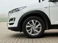 Hyundai TUCSON 1.6 T-GDI, Navi, Kamera, Sitzheiz, PDC, Tempomat Weiß - thumbnail 11