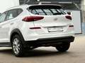 Hyundai TUCSON 1.6 T-GDI, Navi, Kamera, Sitzheiz, PDC, Tempomat Weiß - thumbnail 9