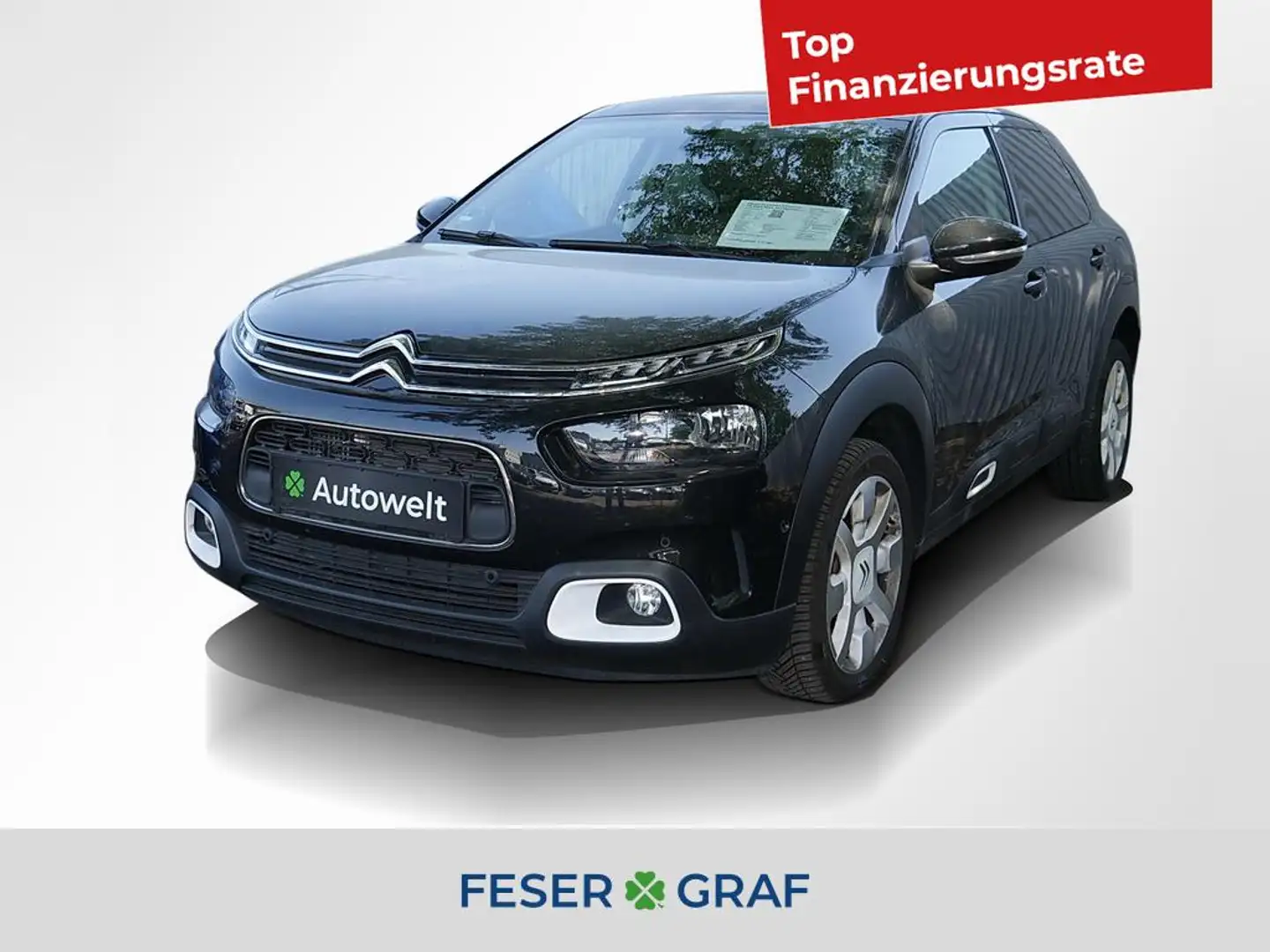 Citroen C4 Cactus 1.2 PureTech 130 Shine Glasdach / SHZ Noir - 1