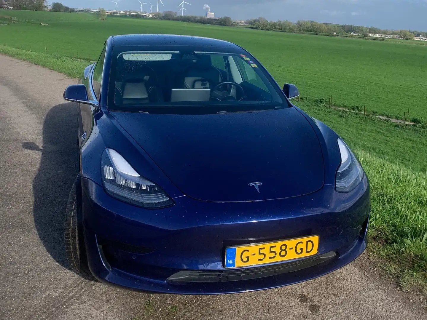 Tesla Model 3 Stnd.RWD Plus 60 kWh full self driving Blue - 2