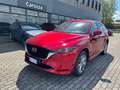 Mazda CX-5 CX-5 2.2 Signature awd 184cv auto Rouge - thumbnail 2