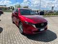 Mazda CX-5 CX-5 2.2 Signature awd 184cv auto Rouge - thumbnail 5