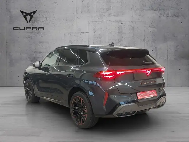 Cupra Terramar view 8