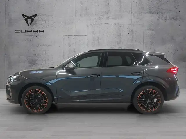 Cupra Terramar view 4