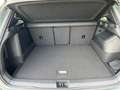 Volkswagen Tiguan R-Line 1.5 eHybrid, AHK IQ-Light, 20 Zoll Grün - thumbnail 10