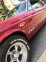 Ford Mustang COUPE' , TETTO IN VINILE V8 AUTOMATICA Rosso - thumbnail 14