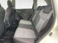Subaru Forester 2.0 i e-BOXER 4dventure Bianco - thumbnail 13