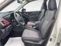 Subaru Forester 2.0 i e-BOXER 4dventure Bianco - thumbnail 9