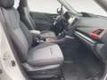 Subaru Forester 2.0 i e-BOXER 4dventure Bianco - thumbnail 15