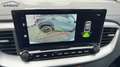 Kia Ceed / cee'd CEED III 1,5 T-GDi  Best DAB Navi Rückfahrk Grün - thumbnail 23