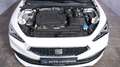 SEAT Leon Style  LED * ACC Weiß - thumbnail 14