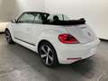 Volkswagen Beetle 1.2 TSI Club Xenon Navi Sitzheizung Weiß - thumbnail 3