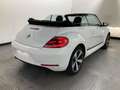 Volkswagen Beetle 1.2 TSI Club Xenon Navi Sitzheizung Weiß - thumbnail 4