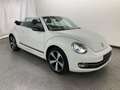 Volkswagen Beetle 1.2 TSI Club Xenon Navi Sitzheizung Weiß - thumbnail 2