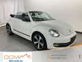 Volkswagen Beetle 1.2 TSI Club Xenon Navi Sitzheizung Weiß - thumbnail 1