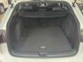 Volkswagen Golf Variant Golf VIII Variant 2.0 TSI DSG 4M R-Line ACC LED- Weiß - thumbnail 7