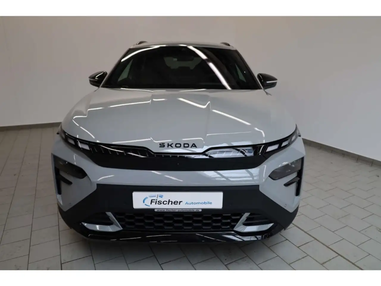Skoda Elroq RS 4x4 84 kWh, миниатюра 3