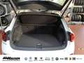Volkswagen T-Roc R-Line 1.5 TSI DSG EL. HECKKL. BLACK-STYLE NAVI KA Weiß - thumbnail 11
