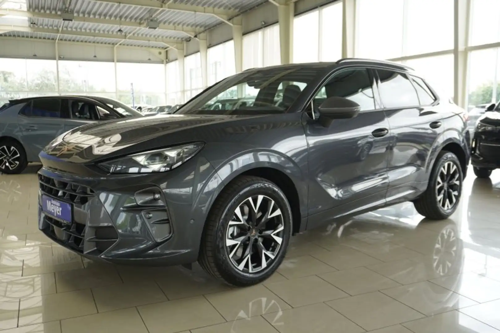 CUPRA Terramar 2.0TSI 4Drive aAHK/Standhz/ACC/el.Klappe     ** Grigio - 1