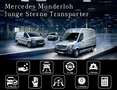 Mercedes-Benz T-Klasse T 180 d PROGRESSIVE Standard KAMERA+NAVI+ Argento - thumbnail 12